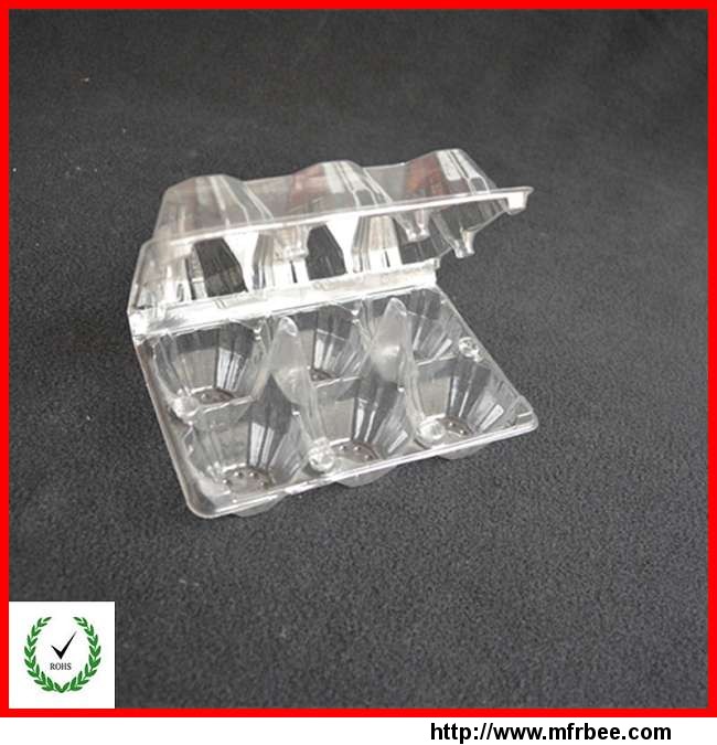 6_cells_egg_tray