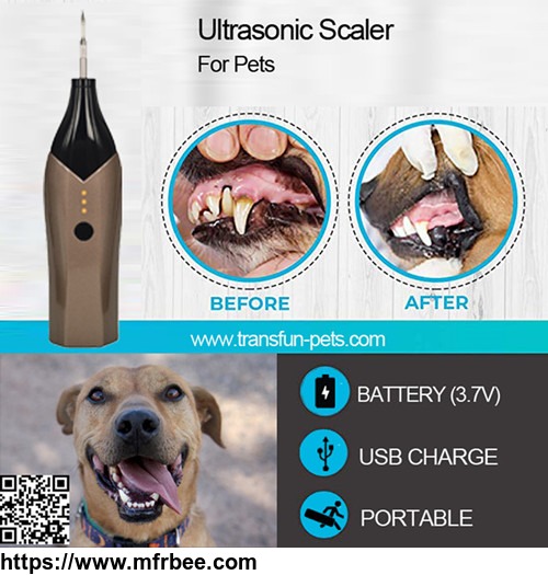 ultrasonic_scaler_tooth_cleaning_8w_calculus_remover_stains_tartar_scraper_high_frequency_vibration