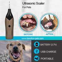 Ultrasonic Scaler Tooth Cleaning 8W Calculus Remover Stains Tartar Scraper High Frequency Vibration