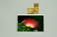 more images of 5.0inch 800*480 Resolution 120.7X75.8X2.8 Module Size LCD Display