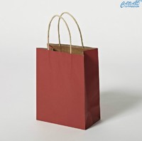 more images of Paper bag, clothing paper bag, garment paper bag, shopping paper bag, paper hand bag