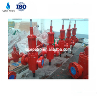 API 6A hydraulic gate valve 3 1/8 5000psi