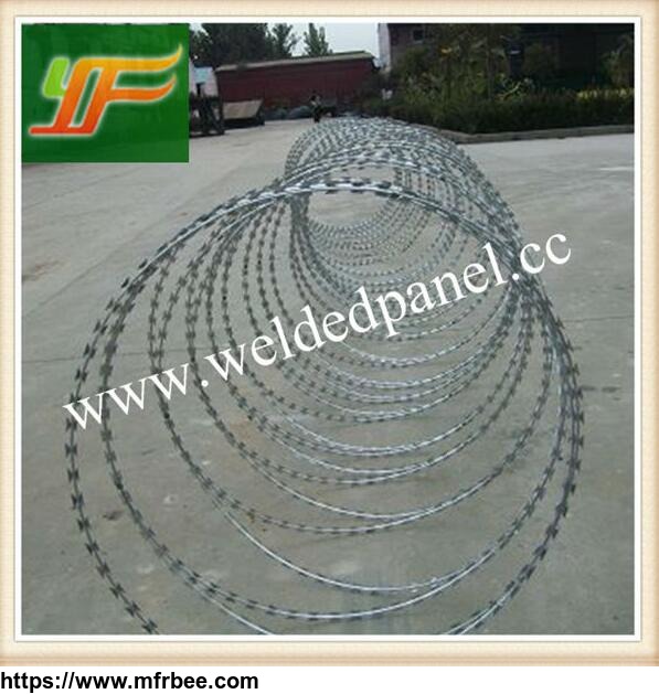 china_best_selling_hot_dipped_galvanized_and_pvc_coated_razor_barbed_wire