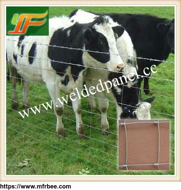 australia_galvanized_cattle_horse_sheep_mesh_field_cattle_fence