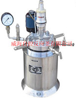 more images of 100mL-1000mL Mini stritted reactors
