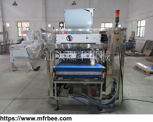 injecting_machine_in_line_yufeng