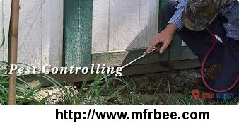 carpet_cleaning_gardening_pest_controlling_housekeeping