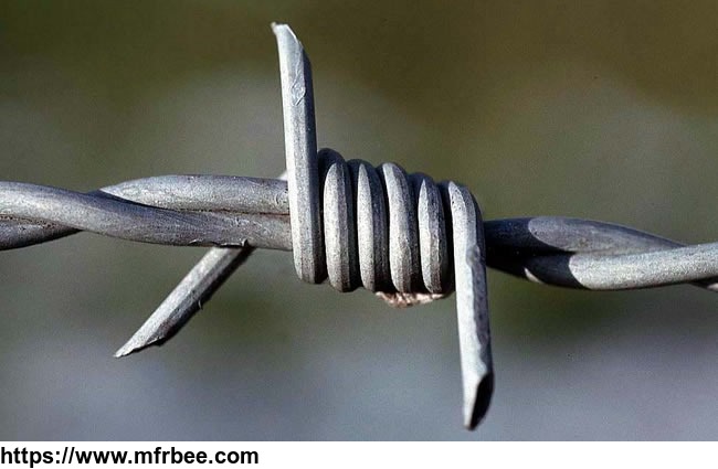 barbed_wire_for_security_fencing