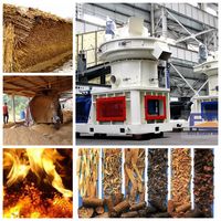 Biomass Pellet Making Machine/Factory Delivery Biomass Pellet Machine