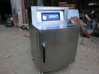 DZ-650L Automatic food vertical vacuum packing machine