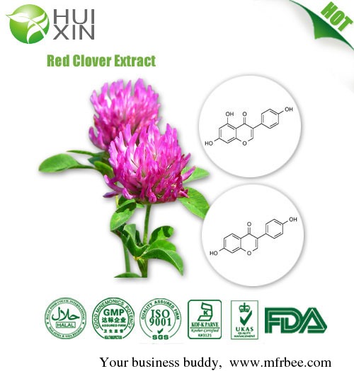 red_clover_extract_8_percentage_20_percentage_40_percentage