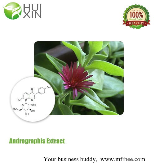 andrographis_extract