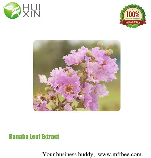 banaba_leaf_extract