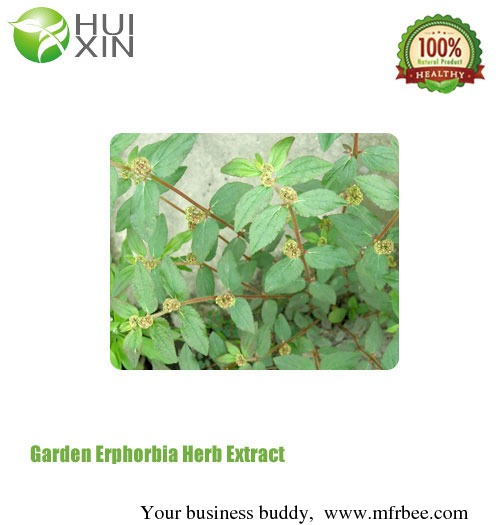 garden_erphorbia_herb_extract