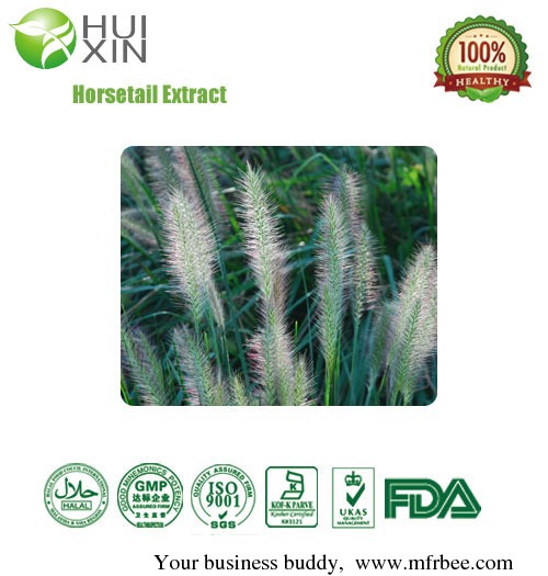 horsetail_extract