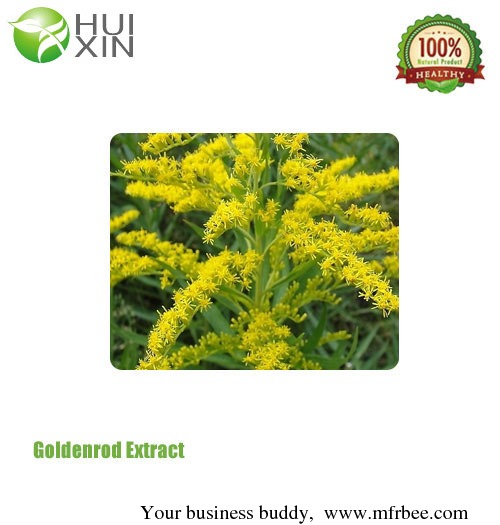 goldenrod_extract