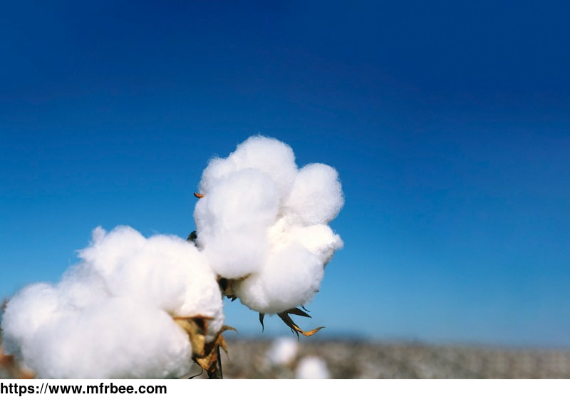 100_percentage_organic_cotton_spunlace_nonwoven_fabric