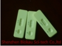 Aflatoxin B1 rapid test strip