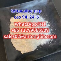 tetracaine usp CAS 94-24-6 C15H24N2O2