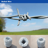 more images of barbed wire(galvanized / pvc coated ) (manufacturer)