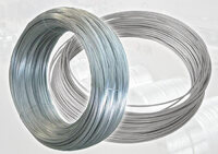 more images of Galvanized Steel Wire