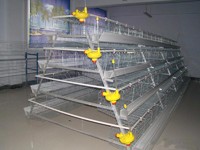 more images of Poultry Cage for Layer Chicken Farm