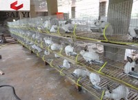 more images of Wire Mesh Rabbit Cages for Rabbit Farm