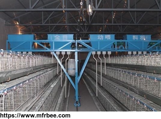 automatic_poultry_farming_equipment_system_for_chicken