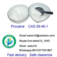 Procain  cas 59 46 1  raw material china factory high quality best price