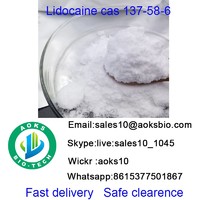 Lidocain cas 137 58 6  API bulk stock  raw material china factory high quality best price