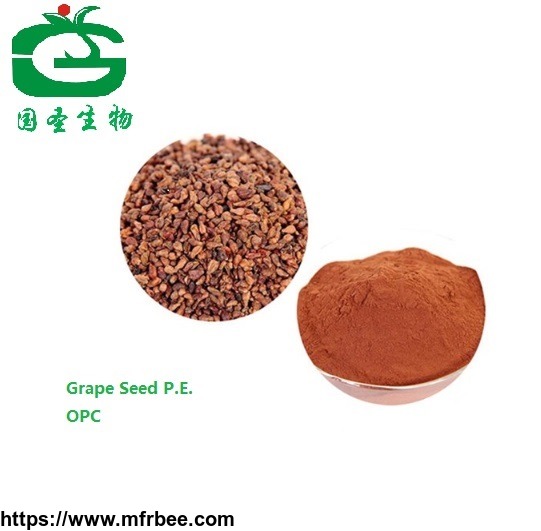 natural_fruit_extract_grape_seed_p_e_capsules_with_high_quality_95_percentageopc