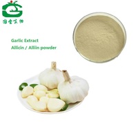 Natural Organic Garlic extract Allicin / Alliin powder