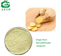 Ginger Root Extract powder/Ginger Root p.e 5%