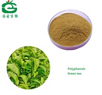 Green Tea Extract Powder./Tea Polyphenol50% /Green Tea P.E with High Quality