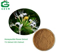 High Quality Honeysuckle Flower Extract With Chlorogenic Acid/Honeysuckle Flower P.E