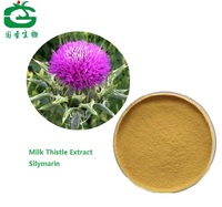 Milk Thistle Extract/Silymarin/Silibinin/Silybum Marianum Extract 80%