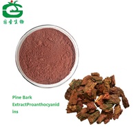 Pine Bark Extract Powder Procyanidine 95%OPC
