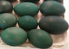 Fresh Emu Eggs for Consumption