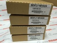 BENTLY NEVADA 3500/25 Durable modeling