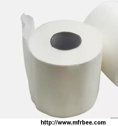 toilet_paper_in_small_roll_and_jumbo_roll_