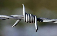 more images of Barbed Wire Fence