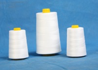 more images of 40s/2 spun polyester sewing thread for quilting machine
