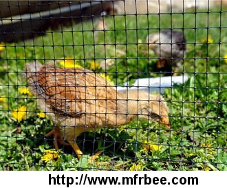oriented_plastic_poultry_netting_keep_predator_out