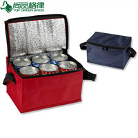 Promotional custom polyester insulated cans cooler carry bag for frozen food