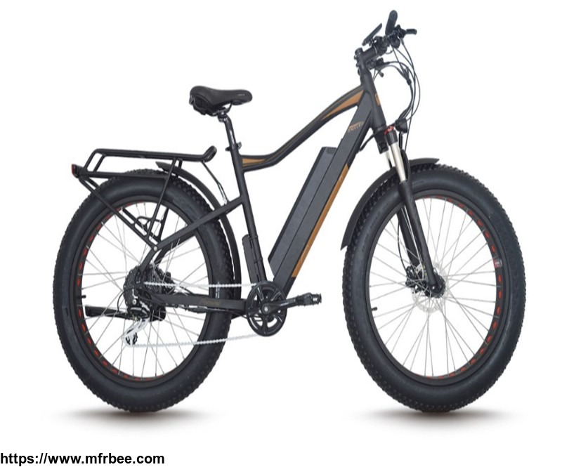 light_weight_electric_bicycle_lithium_battery_mountain_electric_bike