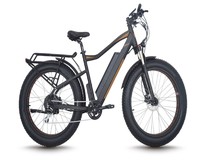 more images of Light weight electric bicycle, lithium battery mountain electric bike
