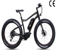 more images of mountain electric bike,250W Bafang Mid-motor electric bike