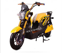 more images of Good quality 1200W Brushless CE Motor Electric Dirt Motorbike with pedal