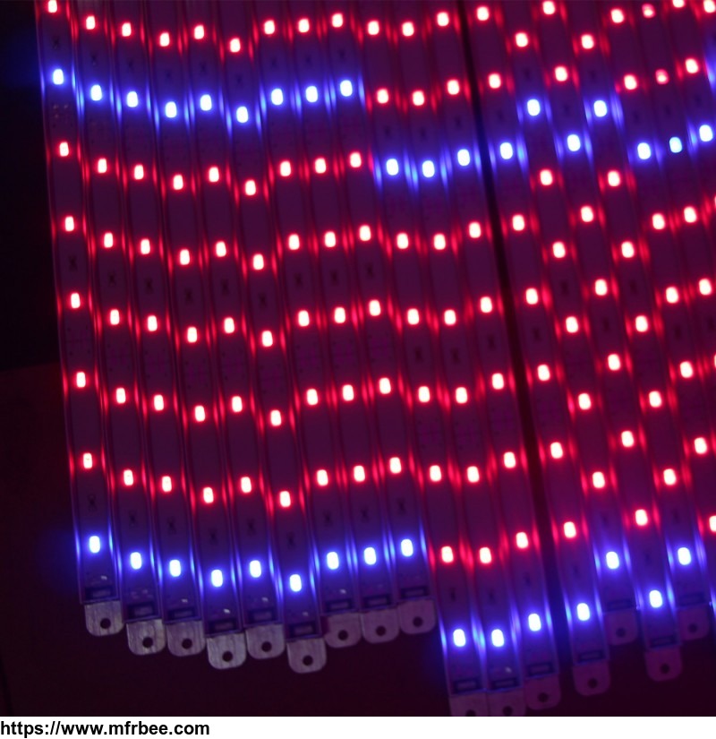 12v_red_and_blue_dual_color_lg_5630_chips_kind_led_grow_lights
