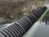 Shield type rubber dam